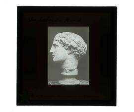 "De Laborde Head"