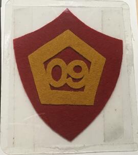 Victoria College Crest Class of 09